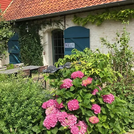 Oud Moeshof Bed & Breakfast